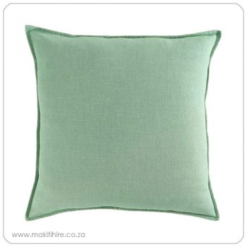 Scatter cushions - blue